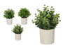 Ibergarden Pot en ciment avec fleurs vertes assorties 18x21x12 cm (Set de 12)