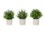 Ibergarden Pot en ciment avec fleurs vertes assorties 18x21x12 cm (Set de 12)