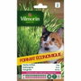 Vilmorin Sachet de graines d'herbe à chat Orge