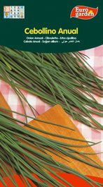 Semillas Fito Aromaticas Semences de Ciboulette annuelle (Boîte de 10)