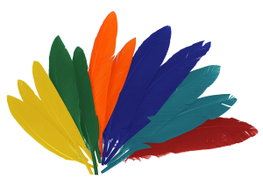 Innspiro Plumes indio mix couleurs, 60 unités