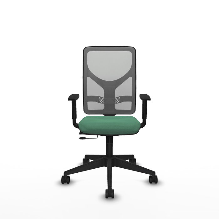 PIQUERAS Y CRESPO Chaise Motilla Synchrone/Traslack Vert émeraude et Gris PIQUERAS Y CRESPO Chaise Motilla Synchrone/Traslack Vert émeraude et Gris