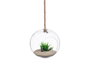 GIFTDECOR Lot de 6 Vases Suspendus Corde Bola Transparente-Marron