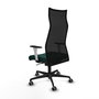 Piqueras y Crespo Chaise de Bureau Albacete Vert Bouteille et Noir