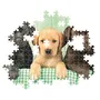 Clementoni - Puzzle 1000 pièces Compact - Three Labs - Format 70 x 50 cm avec poster - Boîte de rangement pratique