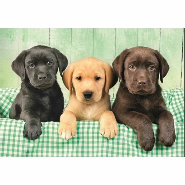 Clementoni Puzzle Three Labs 1000 pièces