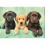 Clementoni Puzzle Three Labs 1000 pièces