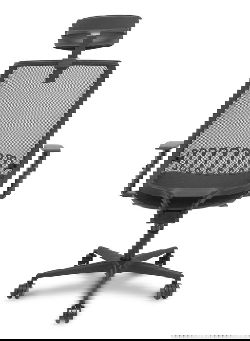 Chaise Alares Synchro 5 positions tissu Noir Base en nylon noir Accoudoir 1D Appui-tête 2D Roulettes 65mm nylon