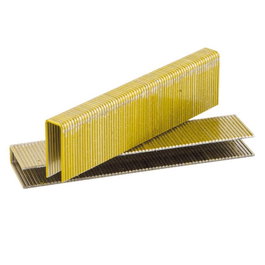 GRAPAS G5562 Agrafes Galvanisées en Bande 30mm