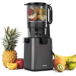 Hkoenig GSX26 Extracteur de jus vertical 250 W à ouverture large 135 mm, 1.8 L, technologie pression douce 50 tours/min, en acier inoxydable gris foncé, livré avec accessoires