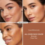 Bare Minerals All Over Face Color Bronzer - faux tan