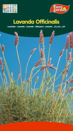 SEMILLAS FITO AROMATICAS LAVANDA OFFICINALIS=02610 Boîte de 10