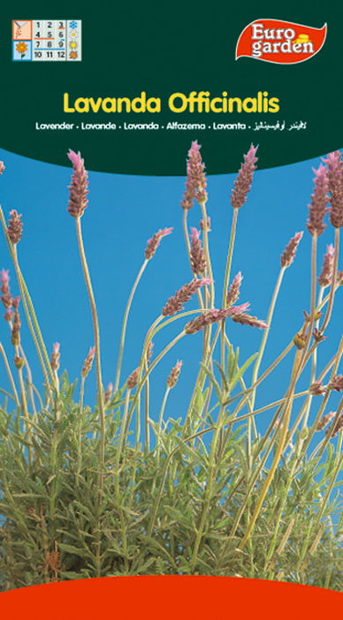 SEMILLAS FITO AROMATICAS LAVANDA OFFICINALIS=02610 Boîte de 10 SEMILLAS FITO AROMATICAS LAVANDA OFFICINALIS=02610 Boîte de 10