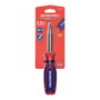 Workpro Tournevis Bleu et Rouge