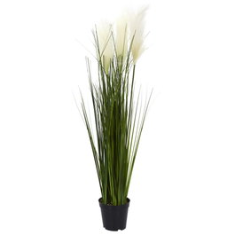 Home Deco Factory Plante artificielle Hierba y Pampa 90 cm