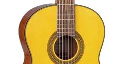 Takamine GC1-NAT
