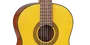 Takamine GC1-NAT