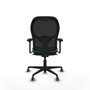 Piqueras y Crespo Chaise de Bureau Jorquera 3D036G0 Turquoise