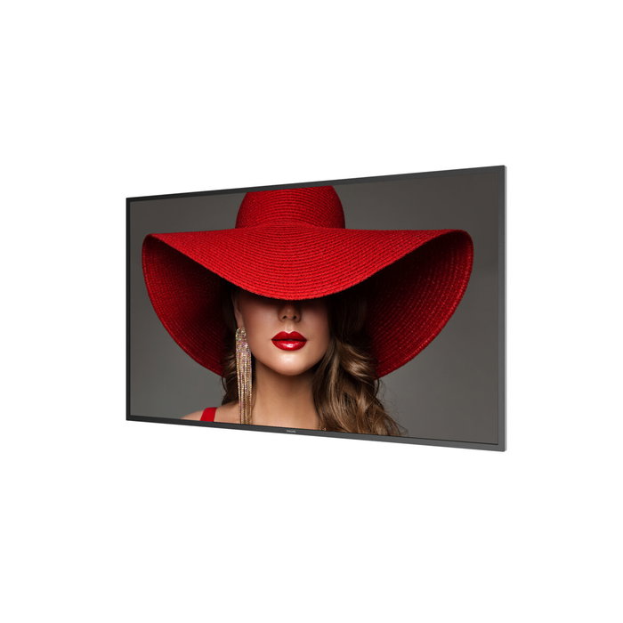 Moniteur Videowall Philips 55BDL4650D/00 4K Ultra HD 55" Moniteur Videowall Philips 55BDL4650D/00 4K Ultra HD 55"