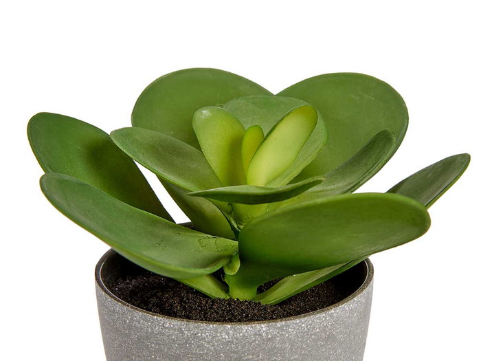 Ibergarden Maceta Planta Hoja Redonda Grande 18x18x18,5 cm Plastique Vert/Gris (Set de 12)