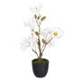 BigBuy Home Plante décorative Magnolia