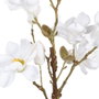 BigBuy Home Plante décorative Magnolia