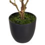 BigBuy Home Plante décorative Magnolia
