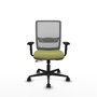 PIQUERAS Y CRESPO Chaise Haches Synchrone/Traslack Vert olive/Gris