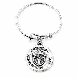 Alex And Ani Bracelet Milagros Charm Gris