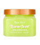 Tree Hut Gommage au sucre Rainbow Sherbet 510 g