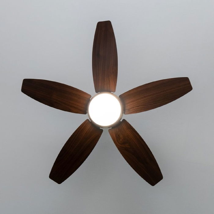 Ventilateur de Plafond avec Lumière Cecotec EnergySilence Aero 4200 Marron Doré 15 W 53 W