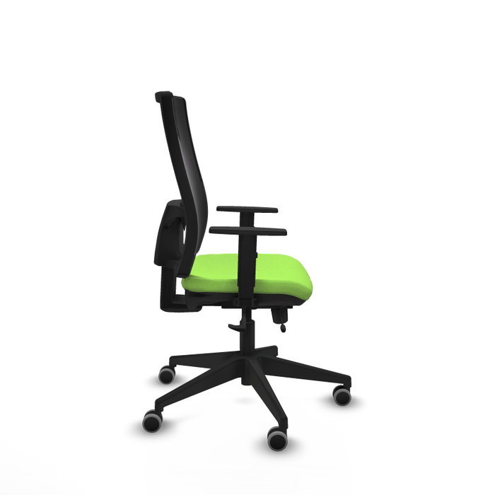 Piqueras y Crespo Chaise de Bureau Horna, Assise Pistache et Dossier Noir