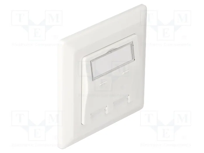DELOCK Prise murale Keystone blanc 2 ports DELOCK Prise murale Keystone blanc 2 ports