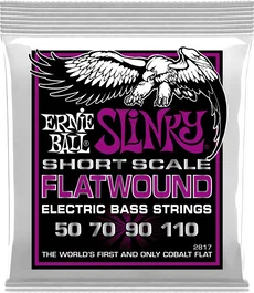Ernieball Jeu de Cordes Flatwound Power Slinky Short Scale 55-110 pour Basse Électrique