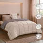 Poyet Motte HUDSON Couette Légère Microfibre 200gr/m2 100% Polyester Oeko-Tex STOPFLAM Taupe et Lin 220 x 240 cm