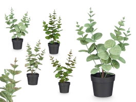 Ibergarden Pot Plante Feuille Ronde Mat Brillant Couleurs Assorties 16x35x10 cm (Set de 12)