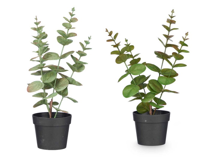 Ibergarden Pot Plante Feuille Ronde Mat Brillant Couleurs Assorties 16x35x10 cm (Set de 12)