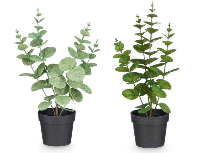Ibergarden Pot Plante Feuille Ronde Mat Brillant Couleurs Assorties 16x35x10 cm (Set de 12)