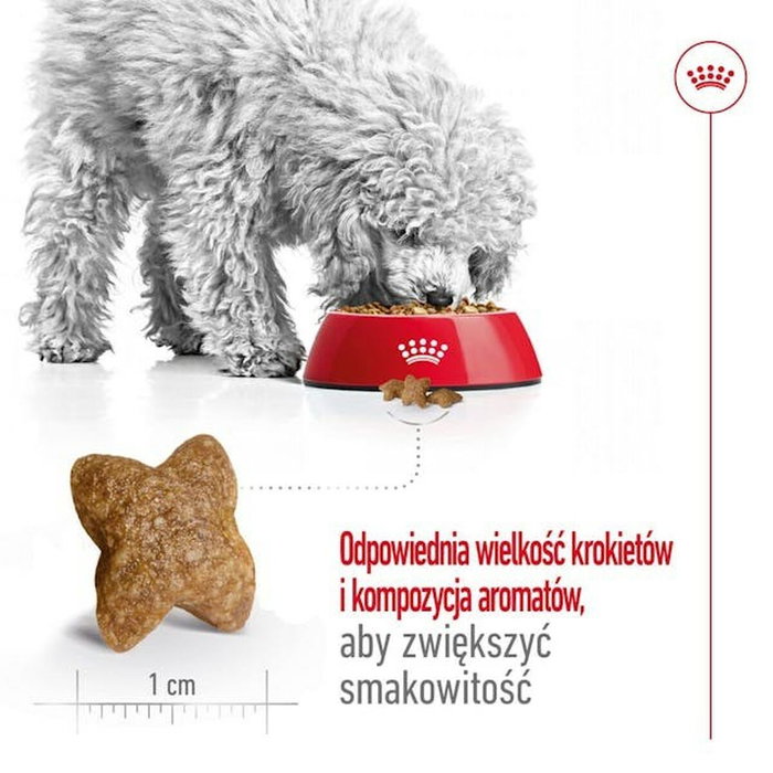 Royal Canin Adult Mini S Oiseaux 8 kg