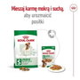 Royal Canin Adult Mini S Oiseaux 8 kg