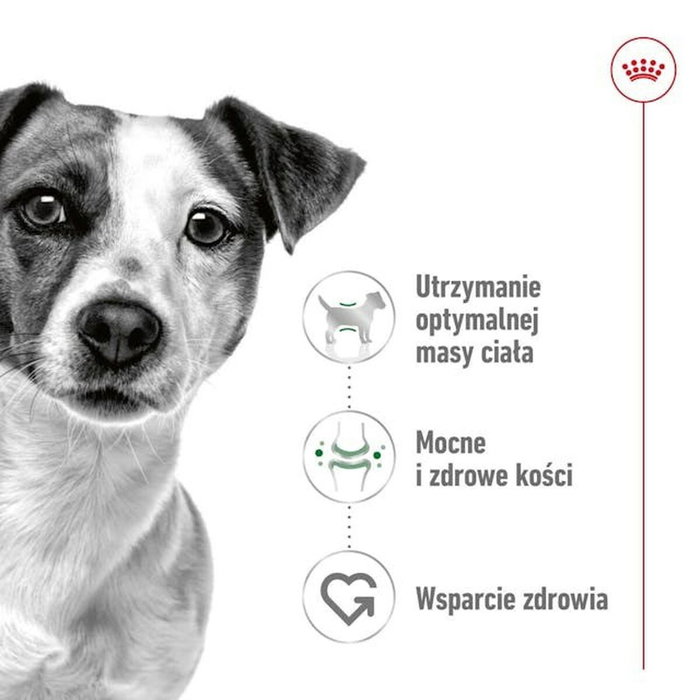 Royal Canin Adult Mini S Oiseaux 8 kg