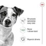 Royal Canin Adult Mini S Oiseaux 8 kg