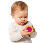 Molto Sensorial Cookies