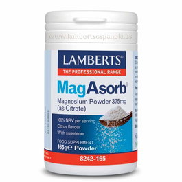 LAMBERTS MagAsorb Magnésium en poudre 165g