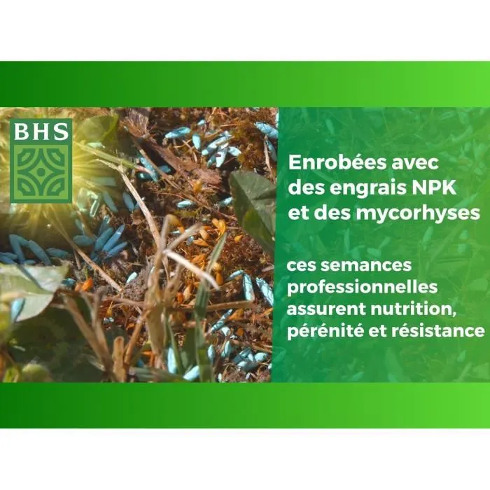 BHS Semence de Gazon Anglais pour Jardins Haut de Gamme - 3kg - Gazon Fin et Dense, Couleur Persistante