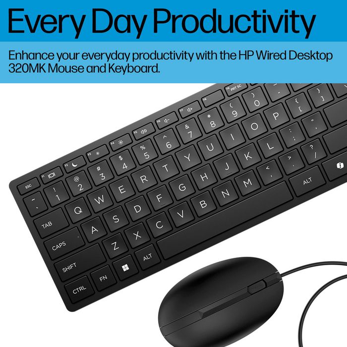 HP Wired Desktop 320MK Ensemble Clavier et Souris Filaire Noir