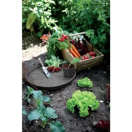 Elho - Lot de 5 pots de fleurs avec soucoupes - Collection Green Basics - Pot Ø17 x H15.7 cm, soucoupe Ø14 cm - 4 litres - Noir