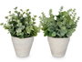 Ibergarden Pot Feuilles Vertes Assortis 15x19x15cm (Set de 24)