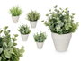Ibergarden Pot Feuilles Vertes Assortis 15x19x15cm (Set de 24)