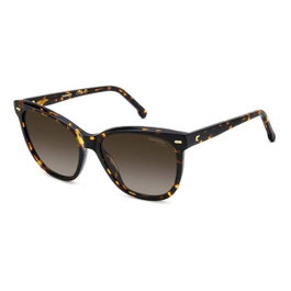 Carrera CARRERA-3043-S-86 Marron